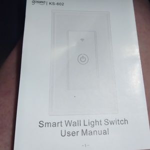 Wall light switch